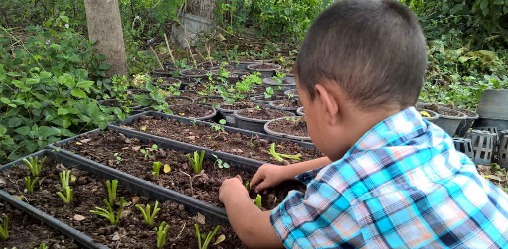 Escuelas sostenibles para mejorar el futuro cementos progreso guatemala