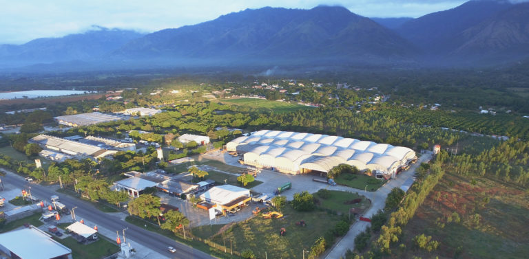 Sacos y bolsas llenos de conciencia cementos progreso 2020