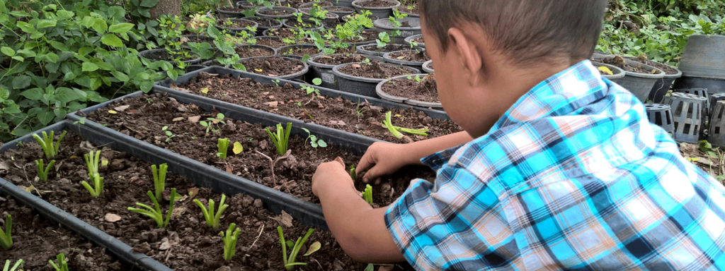 escuelas sostenibles cementos progreso guatemala portada