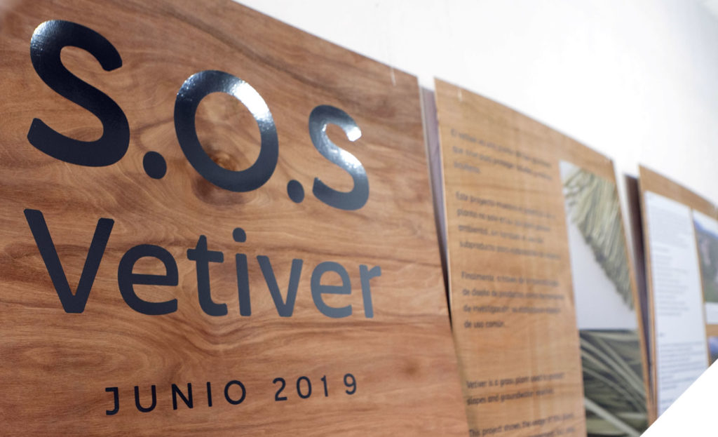 Vetiver- La planta que podría devolver la esperanza a las fuentes de agua del país cempro cementos progreso