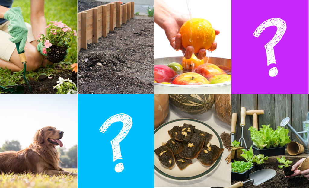 Ocho usos sorprendentes de la cal en el hogar cempro cementos progreso guatemala