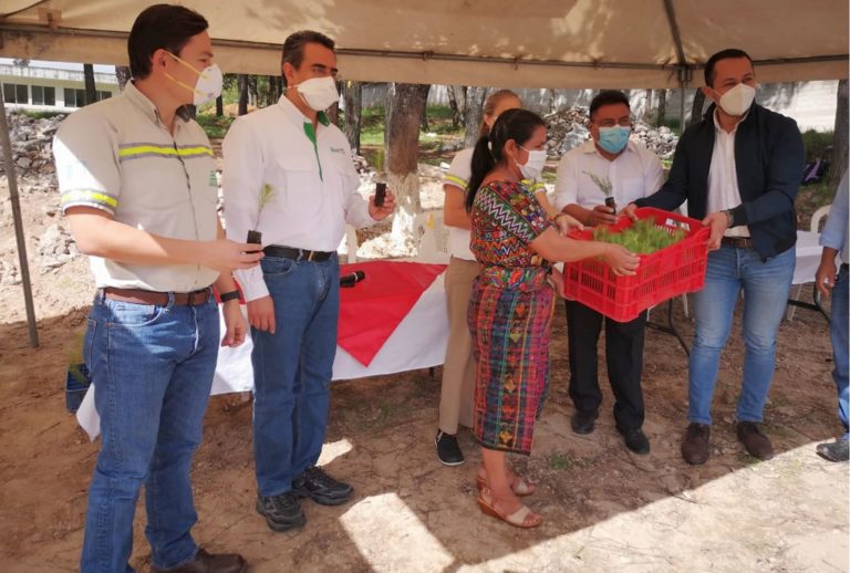 Se plantarán 50 mil árboles en San Martín Jilotepeque cempro cementos progreso guatemala