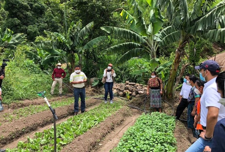huertos comunitarios en San Martín Jilotepeque cempro cementos progreso guatemala