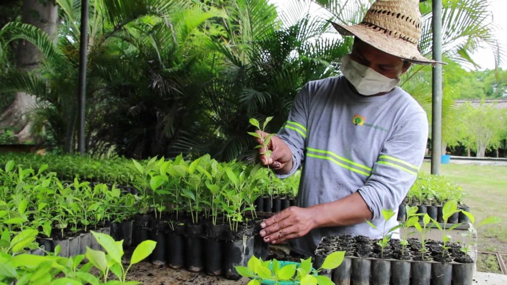 Los ODS: Retos y oportunidades para el sector privado cempro cementos progreso Guatemala agrobosques