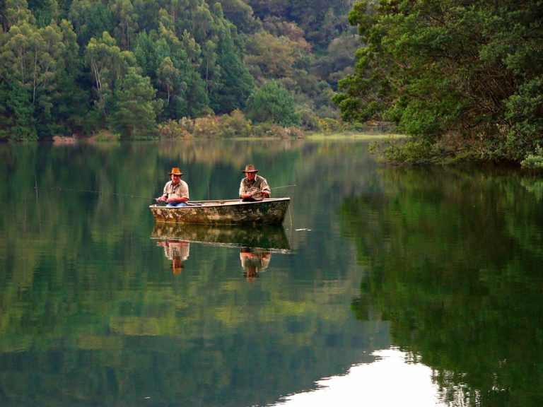 El arte de la paciencia cempro cementos progreso guatemala