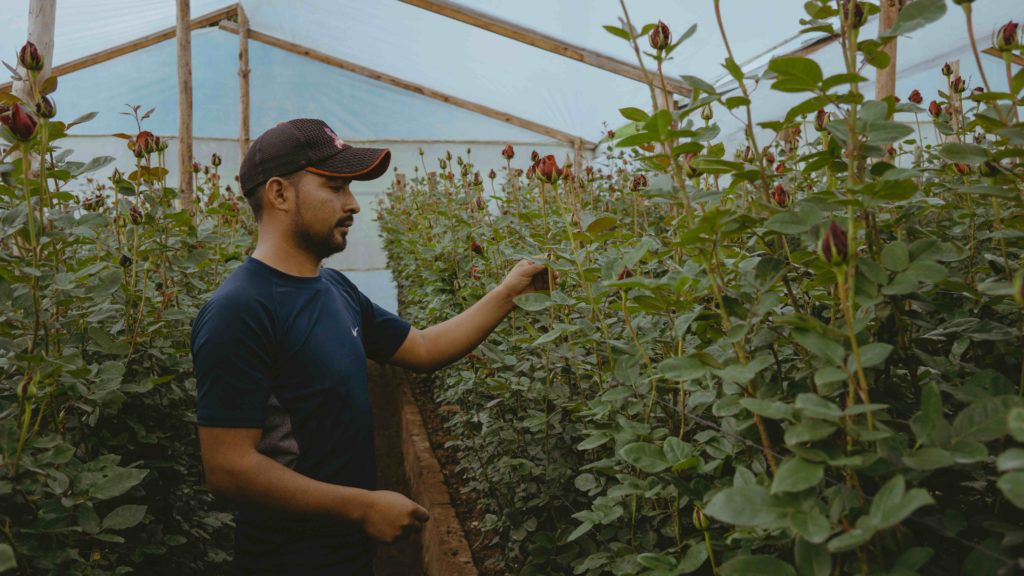 La economía inclusiva, un puente para el desarrollo sostenible de los territorios cempro cementos progreso guatemala