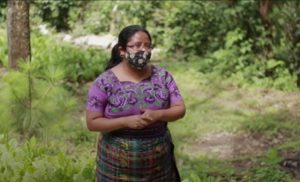 Chambear es Progreso guatemala