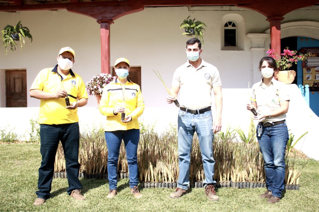 donacion de planta vetiver santa catarina pinula guatemala Progreso colaboracion