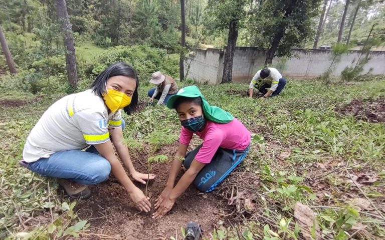 donacion 106 mil arboles para reforestar guatemala progreso latam