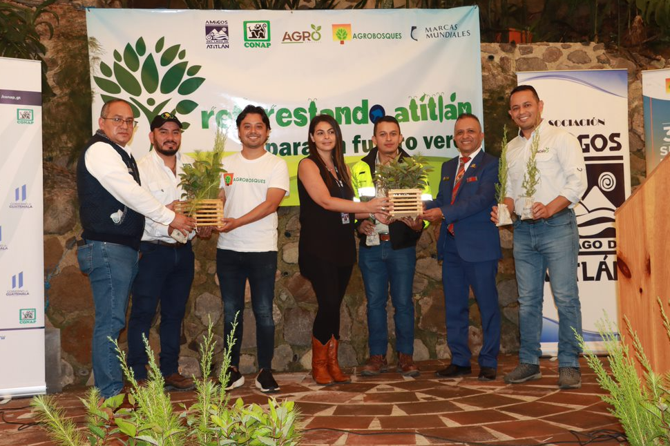 200 mil árboles serán plantados en la cuenca del lago de Atitlán Guatemala cempro agreca cementos progreso guatemala
