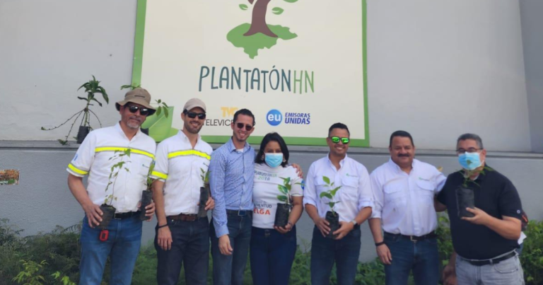 Progreso se une al Plantatón HN 2022 guatemala cempro