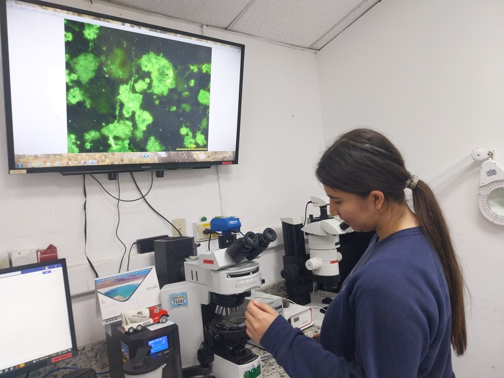 astrid rodas cementoo cid cetec 20231004_121545