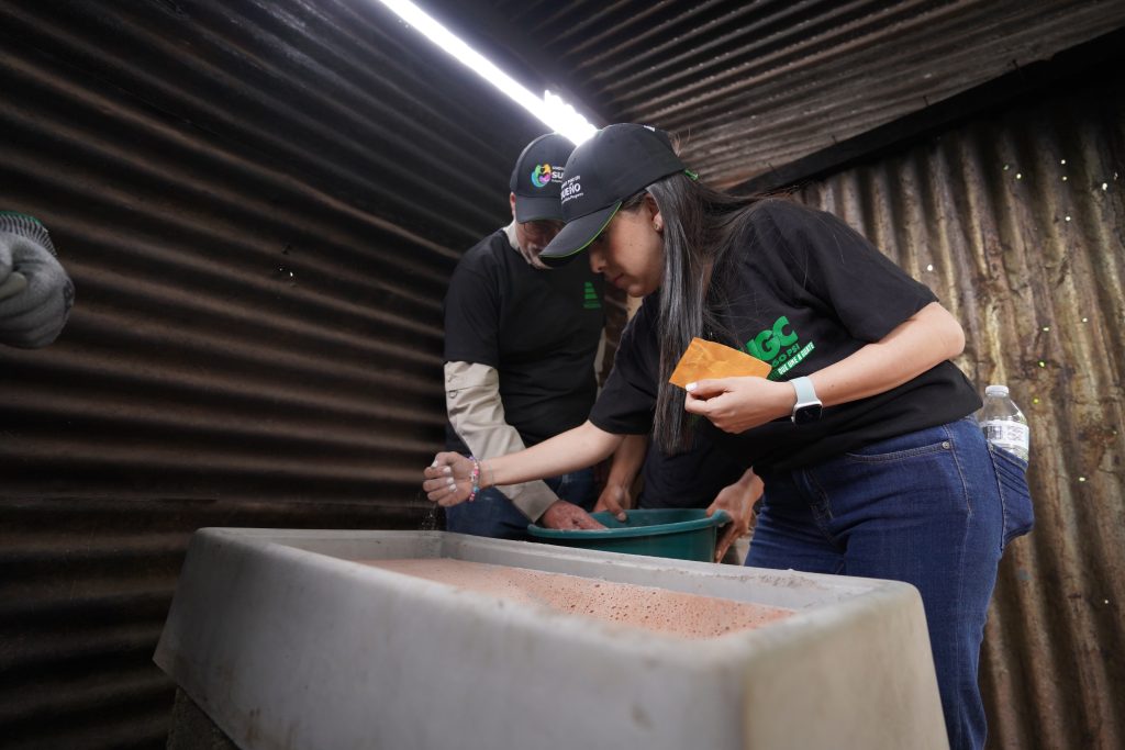 progreso helps internacional guatemala cempro