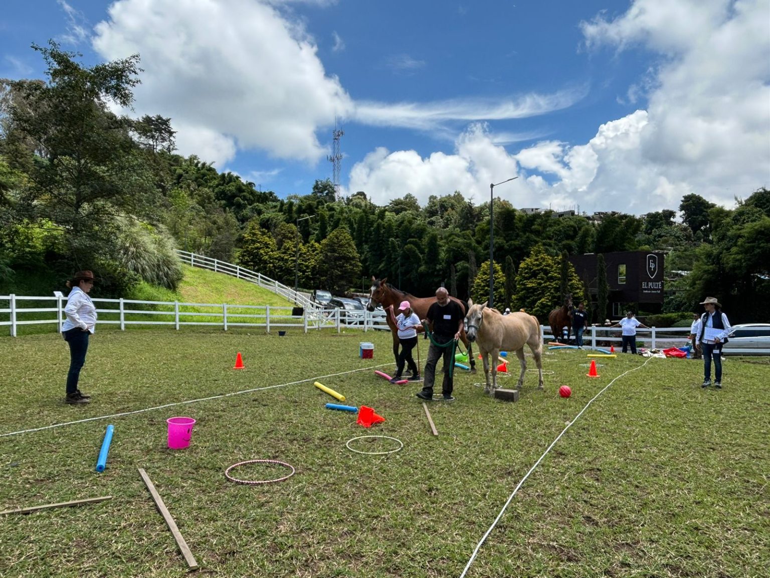 factoria ciudadana Terapia asistida con animales cempro progreso guatemala